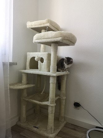 gvkujuuwu